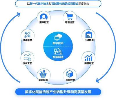 構(gòu)建高效、可持續(xù)的數(shù)字生態(tài)系統(tǒng) 標(biāo)桿項目實施辦法與數(shù)字技術(shù)服務(wù)路徑